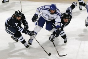 世界杯：首次为部分场次设置“宠物友好观赛区” 引发热议