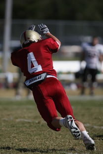 开云 官网 入口-五大联赛争冠球队出场阵容中缺席后的战术重构,五大联赛全胜夺冠的球队 第3张 开云 官网 入口-五大联赛争冠球队出场阵容中缺席后的战术重构,五大联赛全胜夺冠的球队 第3张