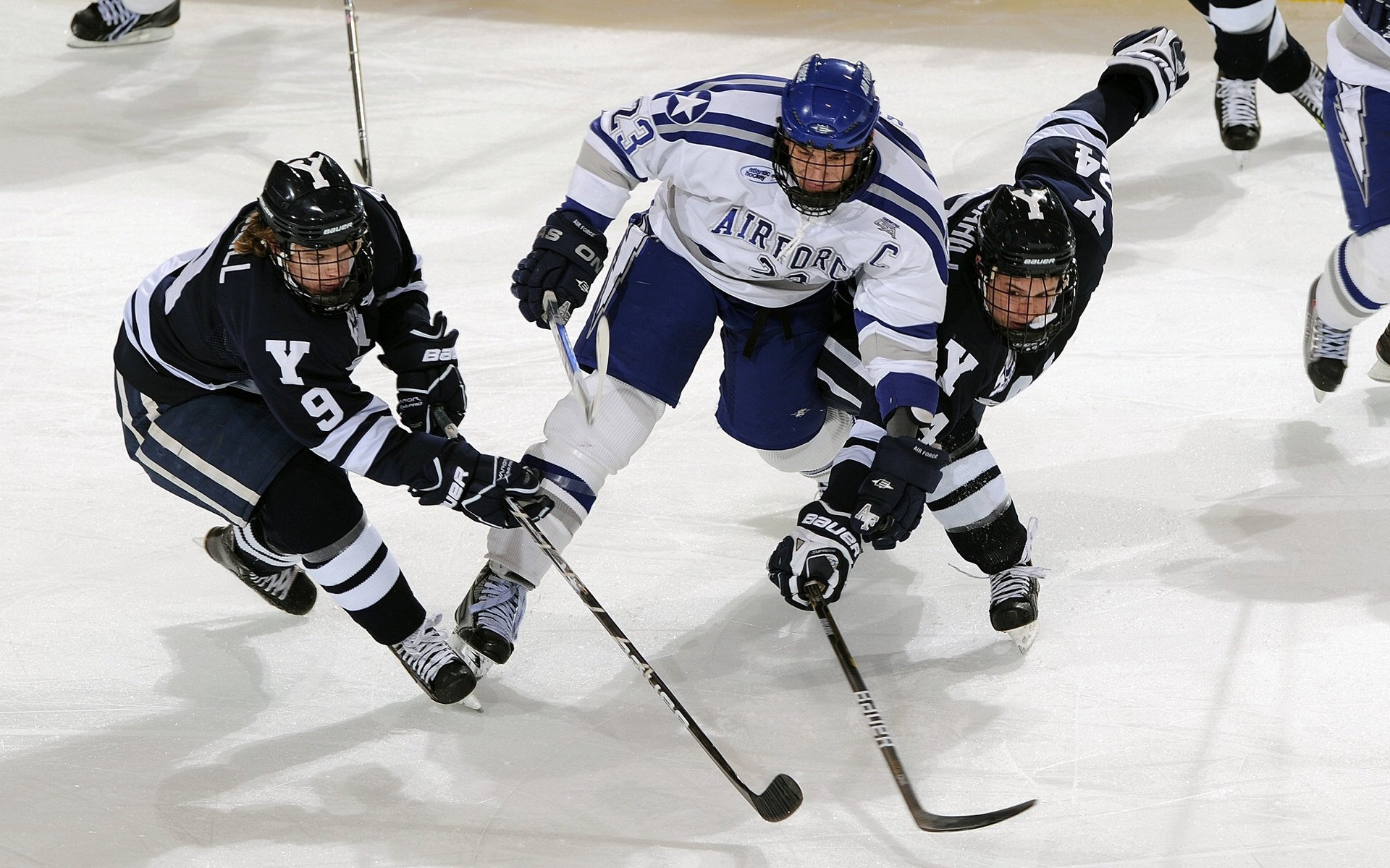 世界杯：首次为部分场次设置“宠物友好观赛区” 引发热议